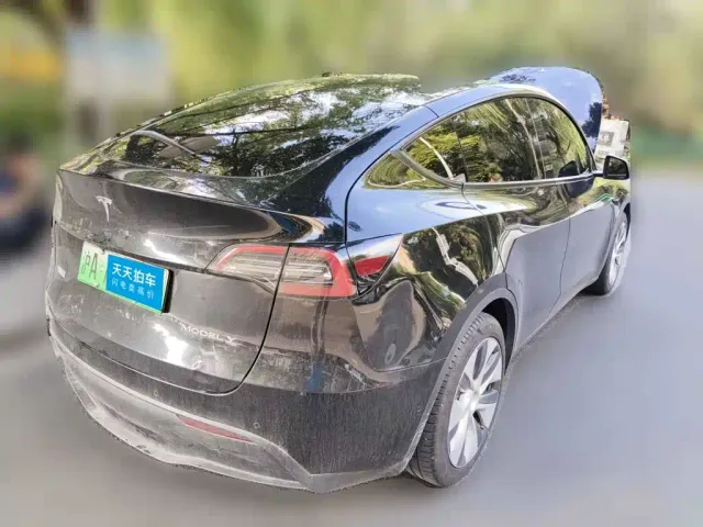 Tesla Model Y — Фото автомобиля 2