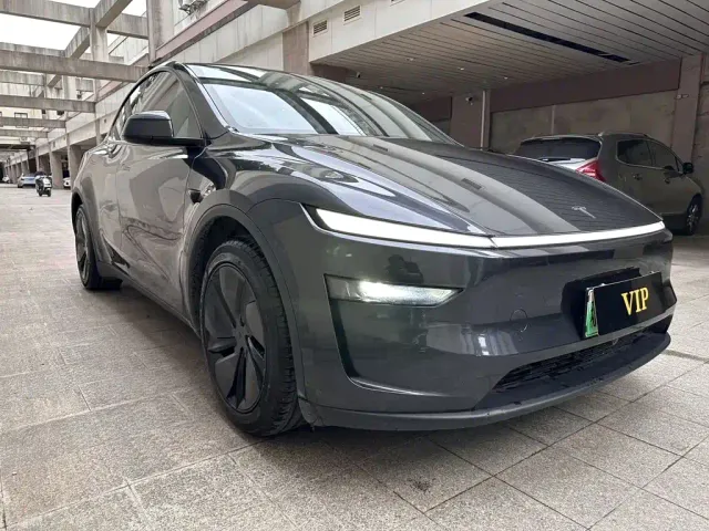 Tesla Model Y — Фото автомобиля 3