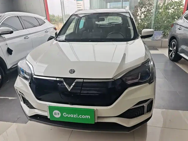 Venucia T60EV — Фото автомобиля 2
