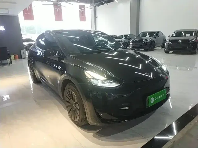 Tesla Model Y — Фото автомобиля 3
