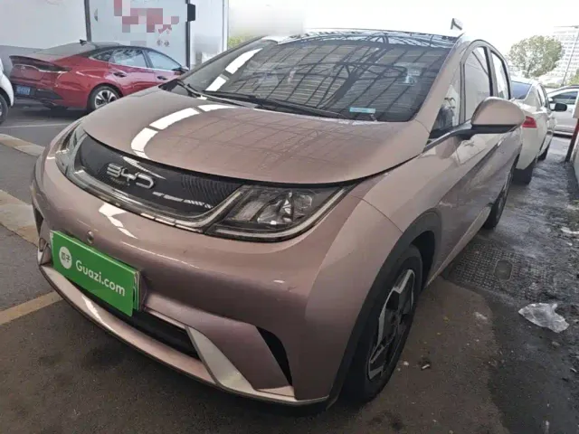 Фотография автомобиля — BYD Dolphin