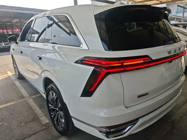 Wey Lanshan — Фото автомобиля 4