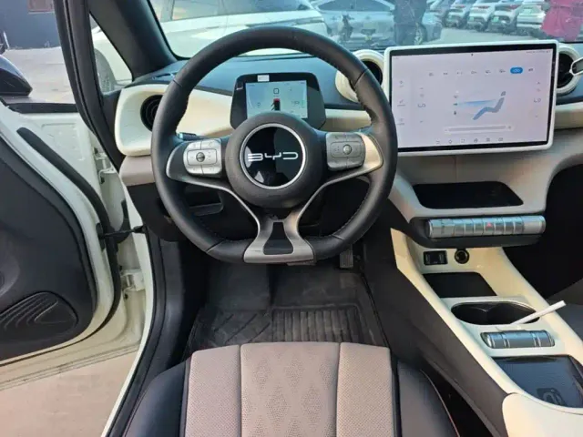 BYD Dolphin — Фото автомобиля 10