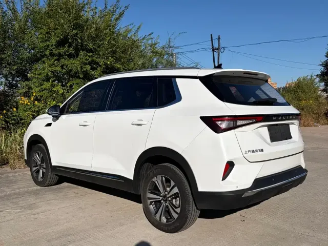 Wuling Asta — Фото автомобиля 11