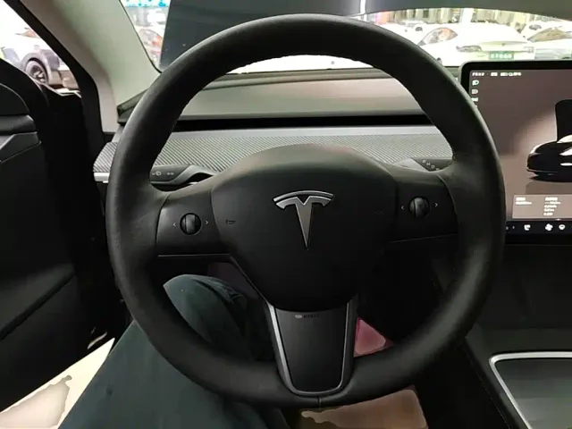 Tesla Model 3 — Фото автомобиля 10