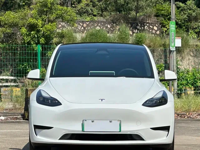 Tesla Model Y — Фото автомобиля 2