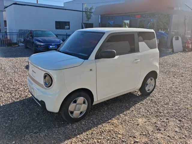 Фотография автомобиля — Geely Panda