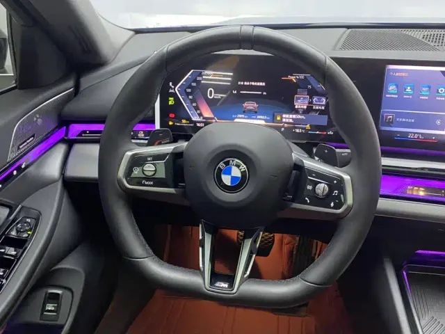 BMW 5 Series — Фото автомобиля 14