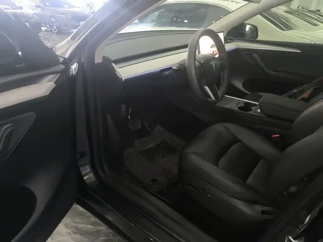 Tesla Model Y — Фото автомобиля 15