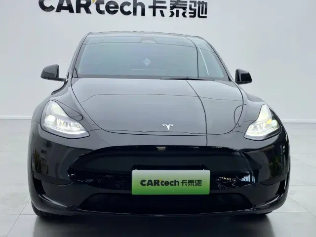Tesla Model Y — Фото автомобиля 10