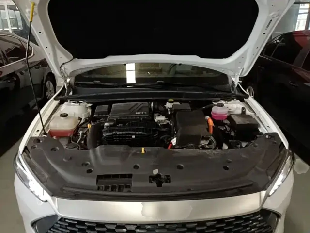 BYD Qin PLUS — Фото автомобиля 19