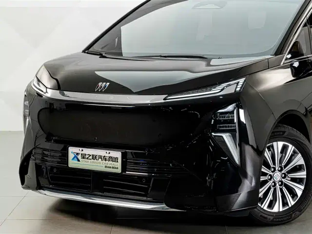 Buick Zhijing Shijia — Фото автомобиля 3