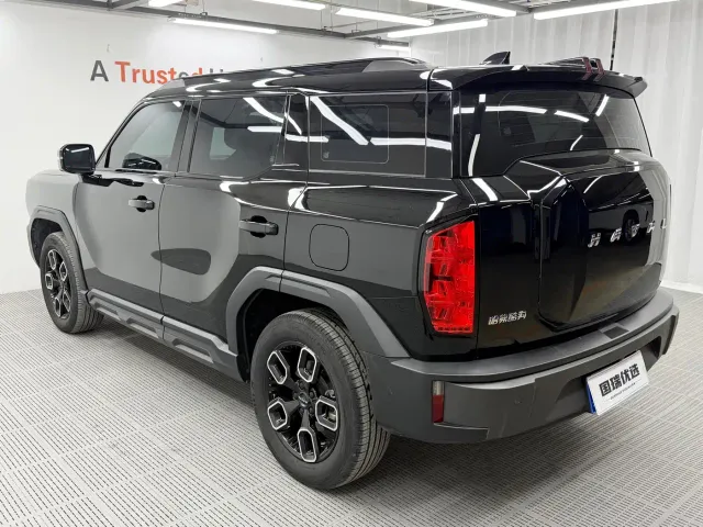 Haval Cool Dog — Фото автомобиля 6