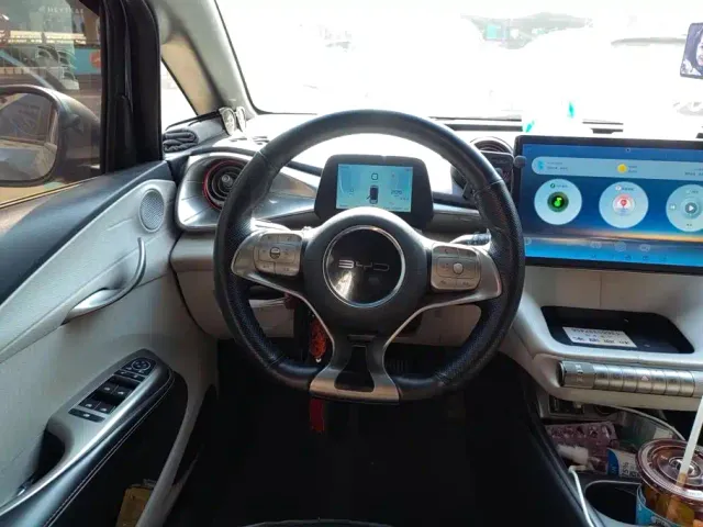 BYD Dolphin — Фото автомобиля 15