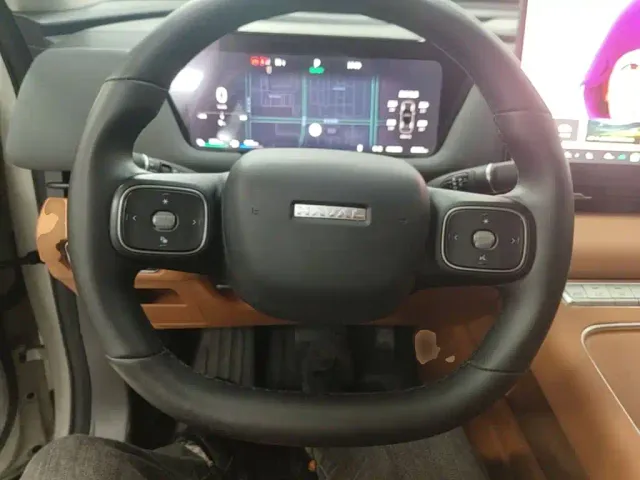 Haval Xiaolong MAX — Фото автомобиля 10