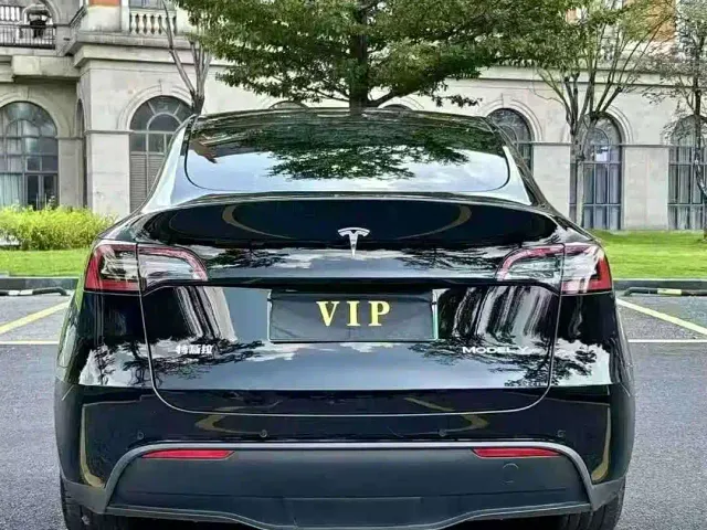 Tesla Model Y — Фото автомобиля 8