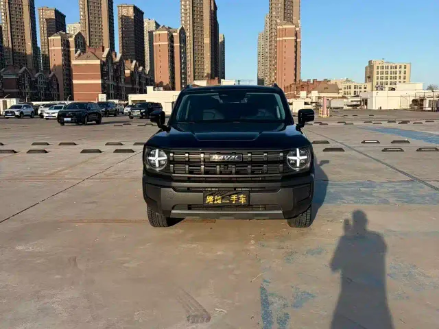 Haval Cool Dog — Фото автомобиля 4