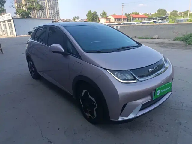 BYD Dolphin — Фото автомобиля 3