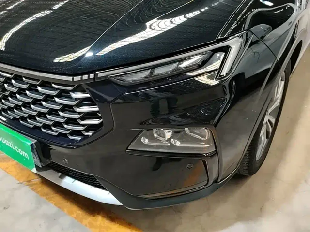 Ford Lingrui — Фото автомобиля 23