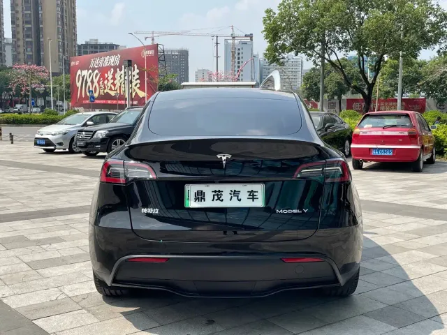 Tesla Model Y — Фото автомобиля 4