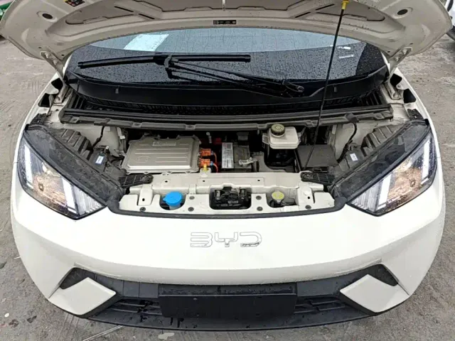 BYD Seagull — Фото автомобиля 19