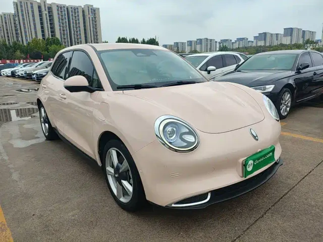 Ora Ora Good Cat 2021 400km Standard Range Athena Edition (LFP) — Фото автомобиля 3