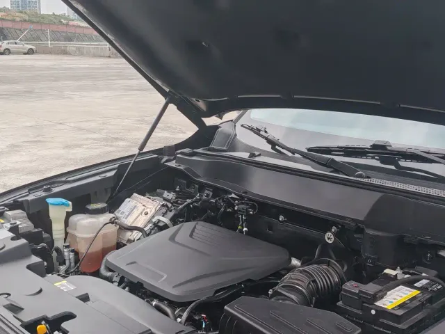 Haval Big Dog — Фото автомобиля 11