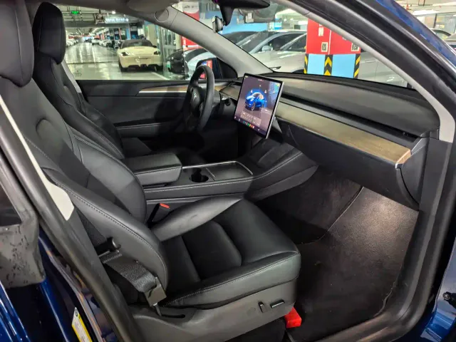 Tesla Model Y — Фото автомобиля 10