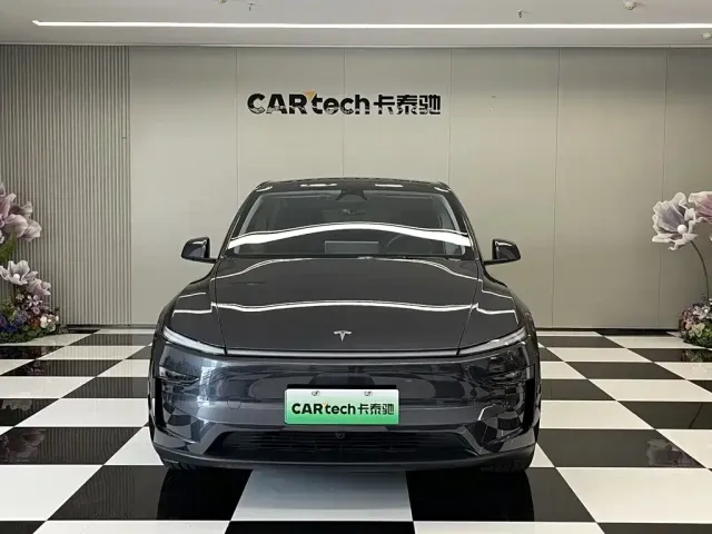 Tesla Model Y — Фото автомобиля 3