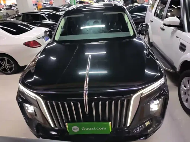 Hongqi E-HS9 — Фото автомобиля 2