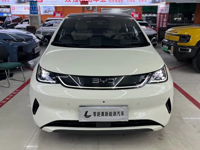 BYD Dolphin — Фото автомобиля 2
