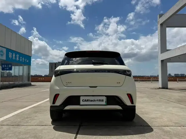BYD Dolphin — Фото автомобиля 8
