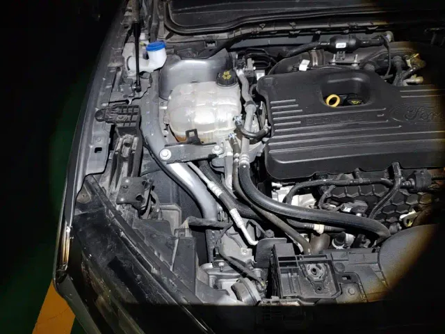 Ford Mondeo — Фото автомобиля 22