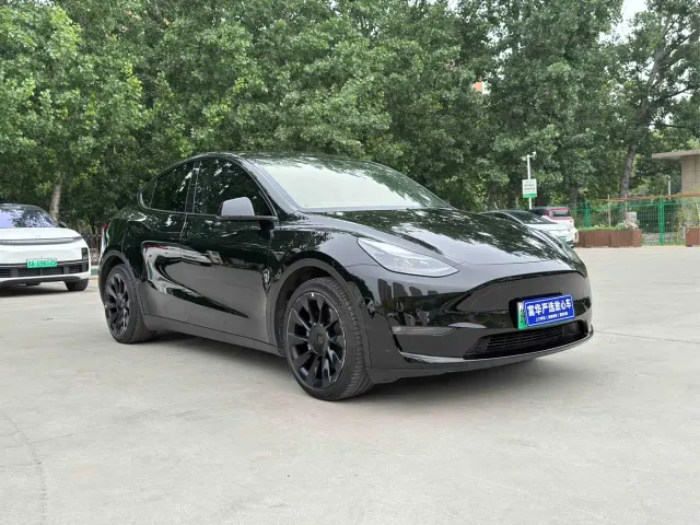 Tesla Model Y — Фото автомобиля 3