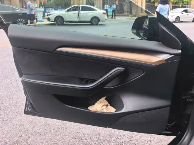 Tesla Model 3 2021 Facelift Standard Range RWD Upgrade 3D1 — Фото автомобиля 7