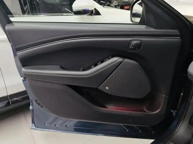 Ford Mustang Mach-E — Фото автомобиля 7