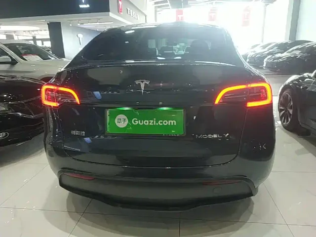 Tesla Model Y — Фото автомобиля 5