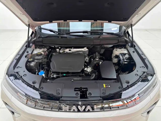 Haval Xiaolong MAX — Фото автомобиля 8