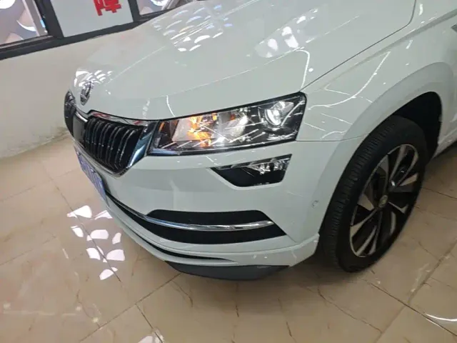 Skoda Karoq — Фото автомобиля 23