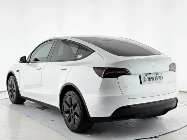 Tesla Model Y — Фото автомобиля 15