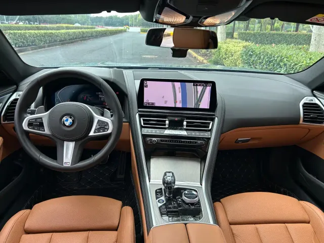 BMW 8 Series — Фото автомобиля 13