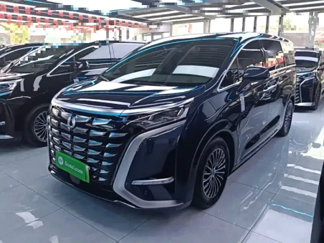 Фотография автомобиля — Denza D9