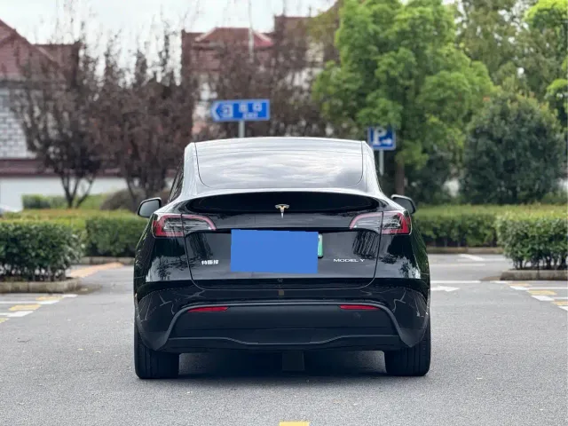Tesla Model Y — Фото автомобиля 5