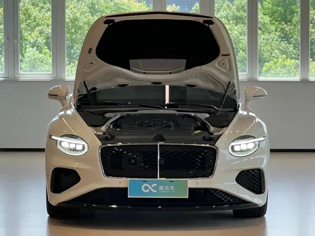 Bentley Continental Plug-in Hybrid — Фото автомобиля 16