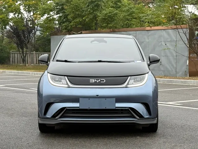 BYD Dolphin — Фото автомобиля 2