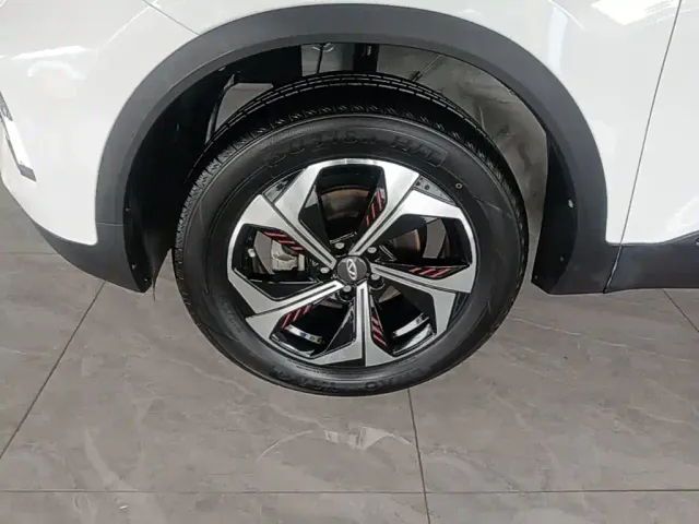 Chery Tiggo 5x — Фото автомобиля 22