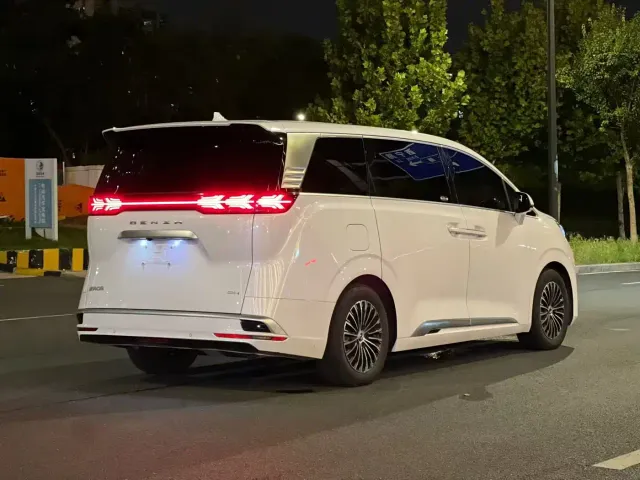 Denza Denza D9 2022 DM-i 1040 Premium — Фото автомобиля 9