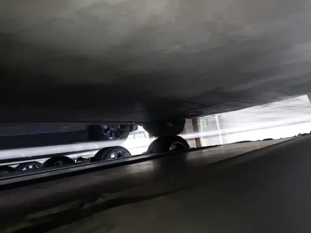 Tesla Model Y — Фото автомобиля 20
