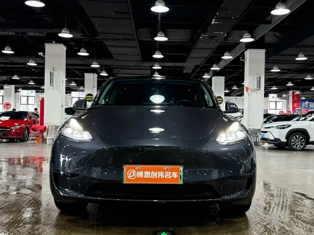 Tesla Model Y — Фото автомобиля 2