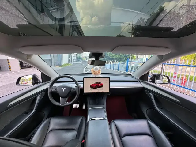 Tesla Model Y — Фото автомобиля 9